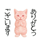 推し猫【桃】,,,,,,,,,,,,,,,,,,,（個別スタンプ：10）