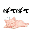 推し猫【桃】,,,,,,,,,,,,,,,,,,,（個別スタンプ：37）