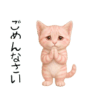 推し猫【桃】,,,,,,,,,,,,,,,,,,,（個別スタンプ：39）