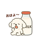ふわもこトイプードル ゆるタッチ（個別スタンプ：1）