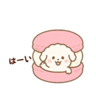 ふわもこトイプードル ゆるタッチ（個別スタンプ：3）