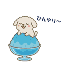 ふわもこトイプードル ゆるタッチ（個別スタンプ：21）