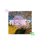 冬の日の日常台湾語 樹氷のみられる山形葉（個別スタンプ：3）