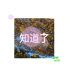 冬の日の日常台湾語 樹氷のみられる山形葉（個別スタンプ：6）