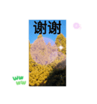 冬の日の日常台湾語 樹氷のみられる山形葉（個別スタンプ：7）