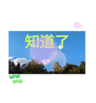冬の日の日常台湾語 樹氷のみられる山形葉（個別スタンプ：10）