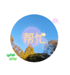 冬の日の日常台湾語 樹氷のみられる山形葉（個別スタンプ：11）