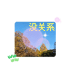 冬の日の日常台湾語 樹氷のみられる山形葉（個別スタンプ：12）