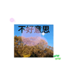 冬の日の日常台湾語 樹氷のみられる山形葉（個別スタンプ：13）