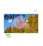 冬の日の日常台湾語 樹氷のみられる山形葉（個別スタンプ：14）