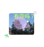 冬の日の日常台湾語 樹氷のみられる山形葉（個別スタンプ：15）