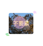 冬の日の日常台湾語 樹氷のみられる山形葉（個別スタンプ：16）