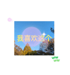 冬の日の日常台湾語 樹氷のみられる山形葉（個別スタンプ：17）