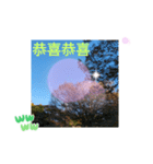 冬の日の日常台湾語 樹氷のみられる山形葉（個別スタンプ：18）