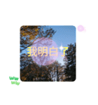 冬の日の日常台湾語 樹氷のみられる山形葉（個別スタンプ：19）