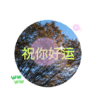 冬の日の日常台湾語 樹氷のみられる山形葉（個別スタンプ：22）