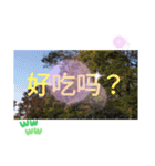 冬の日の日常台湾語 樹氷のみられる山形葉（個別スタンプ：23）