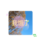 冬の日の日常台湾語 樹氷のみられる山形葉（個別スタンプ：25）