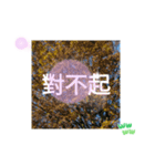 冬の日の日常台湾語 樹氷のみられる山形葉（個別スタンプ：29）