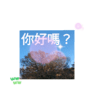 冬の日の日常台湾語 樹氷のみられる山形葉（個別スタンプ：31）