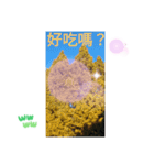 冬の日の日常台湾語 樹氷のみられる山形葉（個別スタンプ：32）