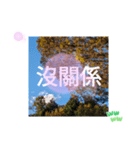 冬の日の日常台湾語 樹氷のみられる山形葉（個別スタンプ：33）