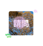 冬の日の日常台湾語 樹氷のみられる山形葉（個別スタンプ：34）