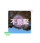 冬の日の日常台湾語 樹氷のみられる山形葉（個別スタンプ：36）