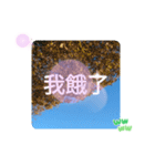 冬の日の日常台湾語 樹氷のみられる山形葉（個別スタンプ：38）