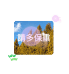 冬の日の日常台湾語 樹氷のみられる山形葉（個別スタンプ：39）