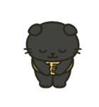 無言猫のらんまる 2（個別スタンプ：2）