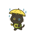 無言猫のらんまる 2（個別スタンプ：13）