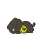 無言猫のらんまる 2（個別スタンプ：25）
