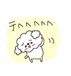 白いトイプードルだよ！（個別スタンプ：31）