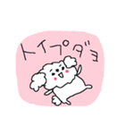 白いトイプードルだよ！（個別スタンプ：34）