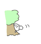 白いトイプードルだよ！（個別スタンプ：36）