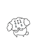 白いトイプードルだよ！（個別スタンプ：37）