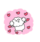 白いトイプードルだよ！（個別スタンプ：39）