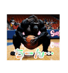イケメンなバスケゴリラ 敬語（個別スタンプ：28）