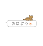 吹き出しニャンズ（個別スタンプ：1）