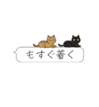 吹き出しニャンズ（個別スタンプ：6）