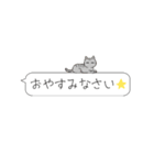 吹き出しニャンズ（個別スタンプ：12）