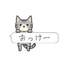 吹き出しニャンズ（個別スタンプ：33）