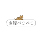 吹き出しニャンズ（個別スタンプ：40）