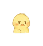 ぬいぐるみヒヨコ・うさぎ・くま（個別スタンプ：3）