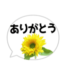 *花* ひまわり＆吹き出し（個別スタンプ：1）