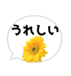 *花* ひまわり＆吹き出し（個別スタンプ：3）