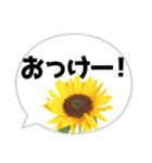 *花* ひまわり＆吹き出し（個別スタンプ：5）