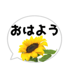 *花* ひまわり＆吹き出し（個別スタンプ：6）
