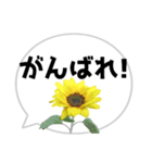 *花* ひまわり＆吹き出し（個別スタンプ：8）